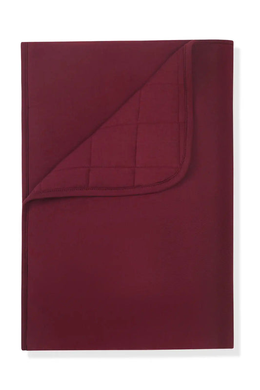Toddler Blanket in Burgundy 2.5