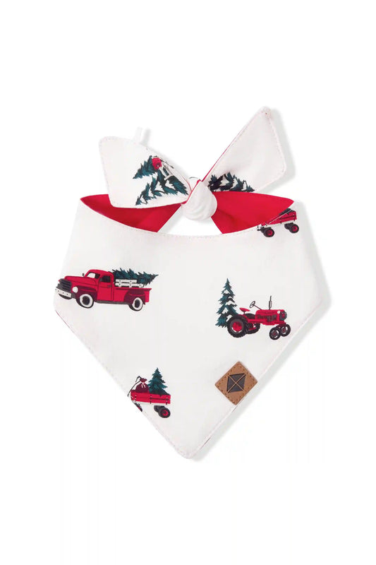 Dog Bandana in Holiday Tree Farm