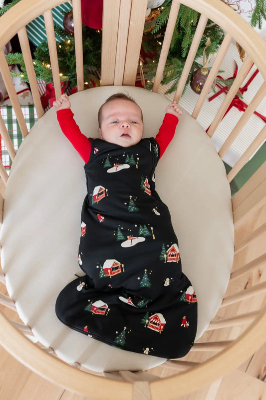 Sleep Bag in Winter Wonderland 1.0