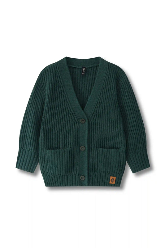 Chunky Knit Oversized Cardigan in Cypress
