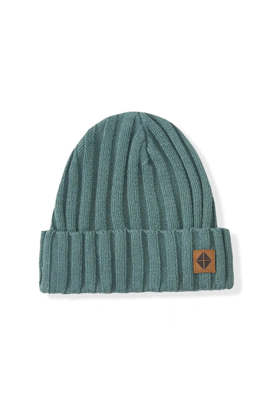 Chunky Knit Ribbed Beanie in Pine
