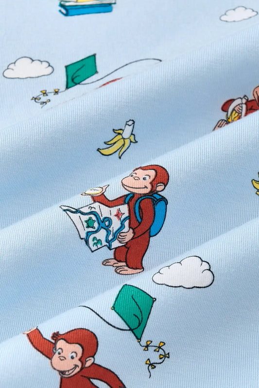 Twin Sheet in Curious George